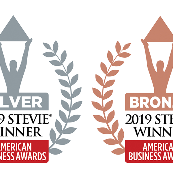 2019 Stevie Silver & Bronze Awards